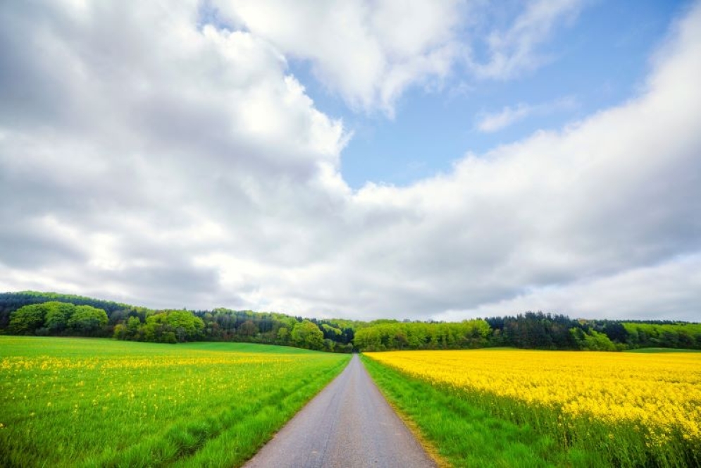 Are You Ready to Navigate the Age of Disruptive Technology?