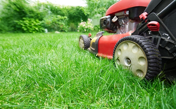 Tips That Will Help You Make Your Lawn Mowing Work Easy