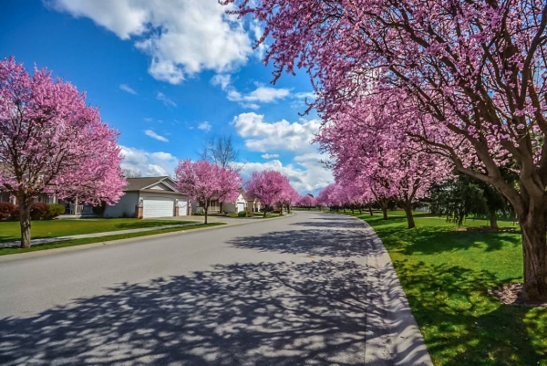 How to Find the Perfect Child-Friendly Neighborhood for Your Family Settle In