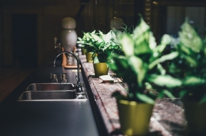Garbage Disposal Water Comes Back Up