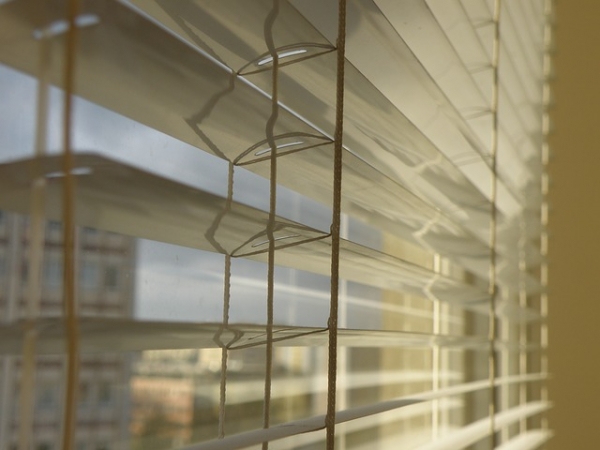 Drapes or Blinds