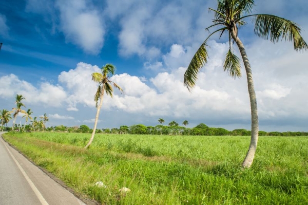 Your Ultimate Guide to Land Buyers