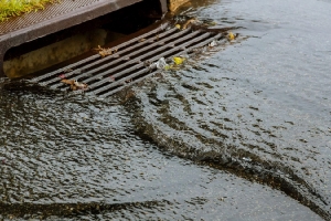 The Benefits of Professional Drain Cleaning Services