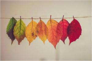 Which Are You? How Personalities Handle Different Kinds of Markets