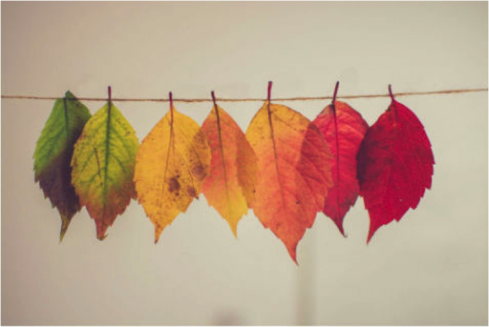 Which Are You? How Personalities Handle Different Kinds of Markets