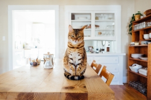 6 Signs That Potential Buyers Are Serious About Your Property