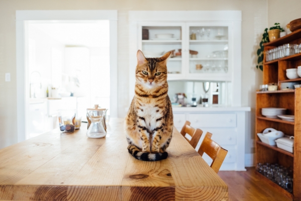 6 Signs That Potential Buyers Are Serious About Your Property