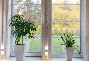 Everything You Need To Know About Double Glazed Windows!