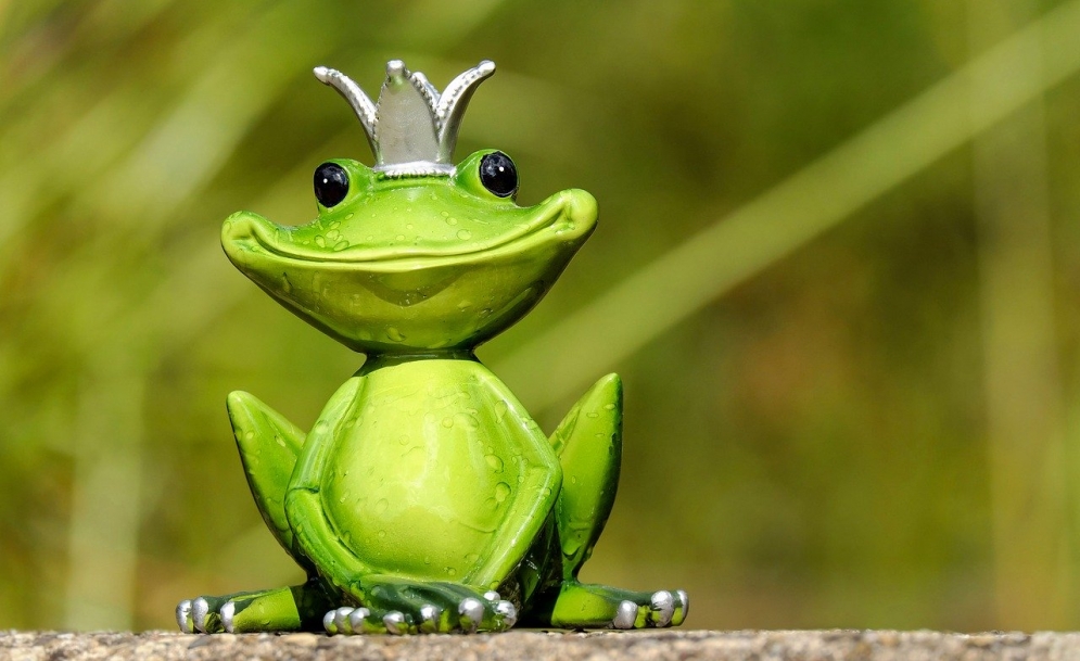 Stop Eating Frogs! Just Be Happy