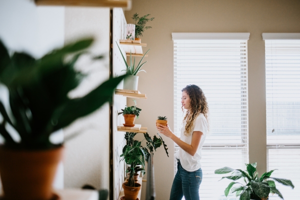 5 Simple Ways To Improve Your Home’s Air Quality