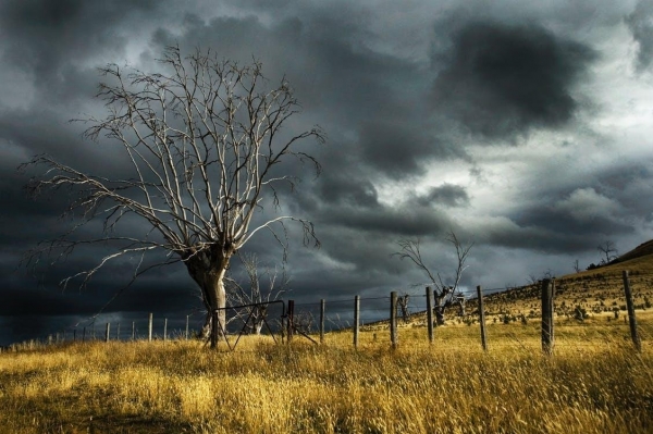 4 Things You Can do to Prepare Your Home for a Major Storm