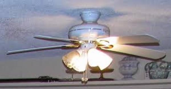 Proficiency and competence as the key factors to buy ceiling fan