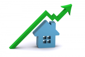 Great Time to Buy a Pet-Friendly Home in South Florida
