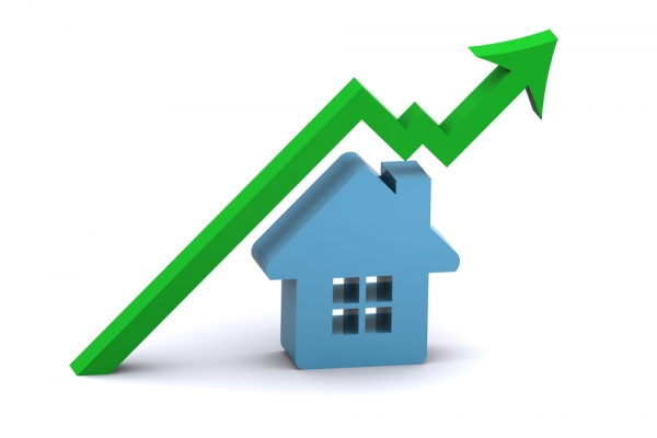 Great Time to Buy a Pet-Friendly Home in South Florida