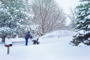 Keeping Your Landscape Free From Snow Next Winter