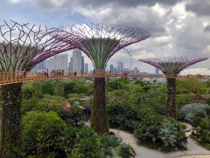 Singapore Sky Garden creates a connection with the outside world in a busy city