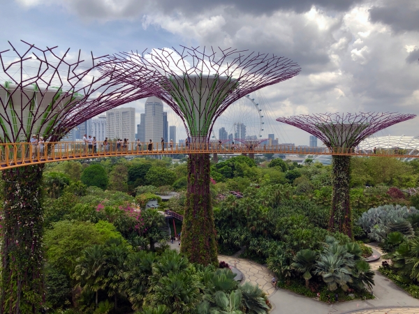 Singapore Sky Garden creates a connection with the outside world in a busy city