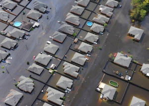 What to Do with a Flooded Basement