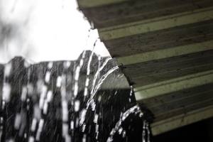 Understanding the Importance of a Water Damage Inspection for Insurance Claims