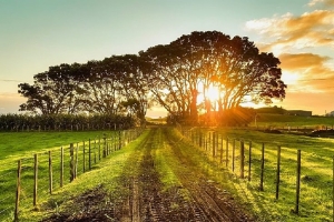 Top Tips to Sell Land in North Carolina