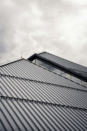 7 Common Roofing Issues Women in Real Estate Should Watch For