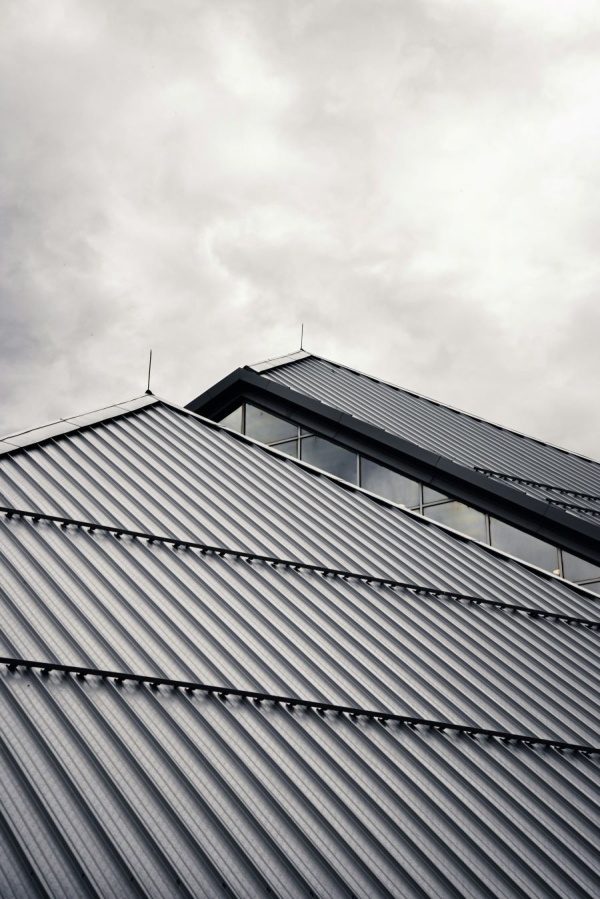 7 Common Roofing Issues Women in Real Estate Should Watch For
