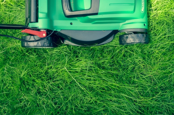 3 Ways to Save Money on a Major Landscaping Project