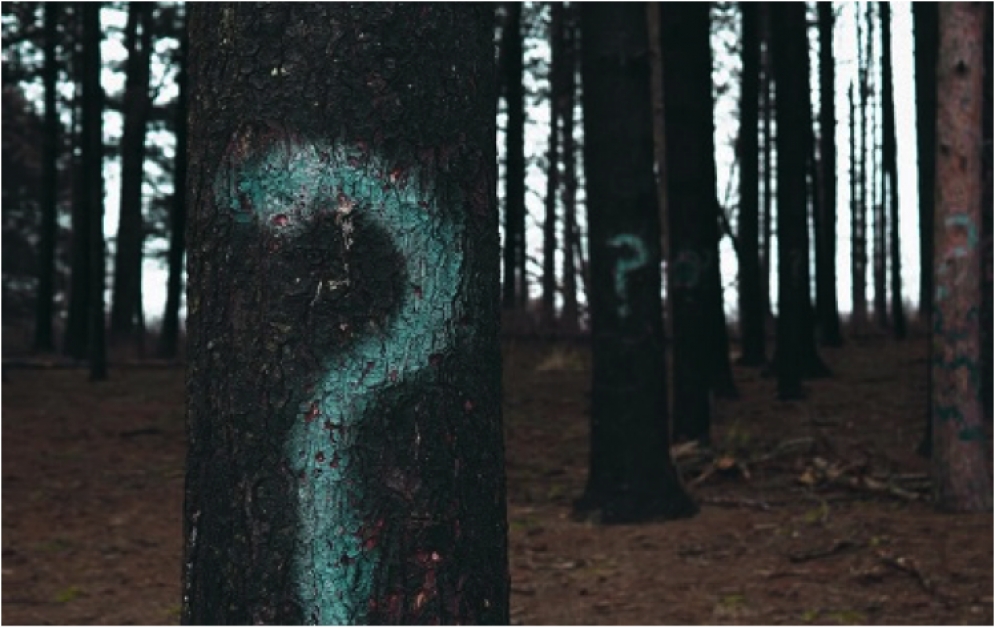 Eight Powerful Questions About Your Future