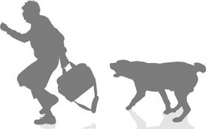 Insurance And Animal Bites