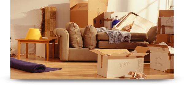 Moving Company Washington – helping you move