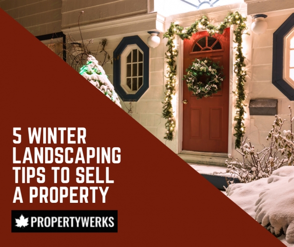 Winter Landscaping Tips