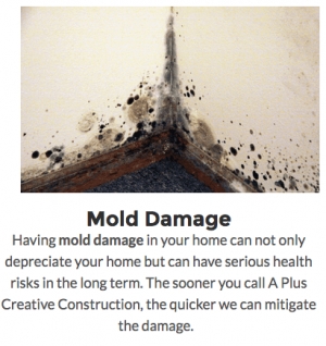 Preventative Mold Cleaning Services For Your Home