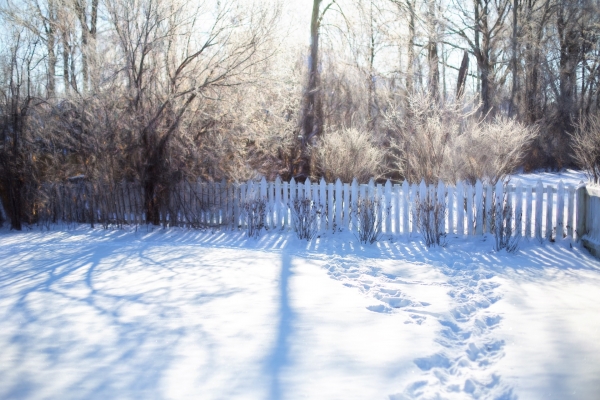 Yard Projects Worth Considering during Winter Weather