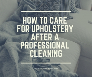How to Care for Upholstery After a Professional Cleaning