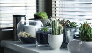 5 Home Decor Projects That Incorporate Nature Indoors