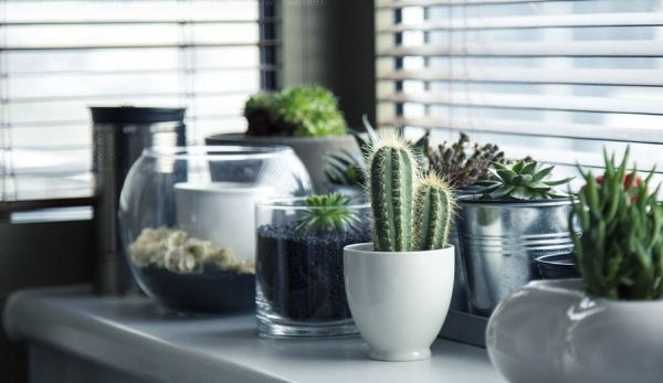5 Home Decor Projects That Incorporate Nature Indoors