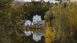 Living in Brighton, MA: Cost of Living, Things to Know &amp; Places