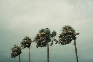 Protecting Your Castle: A Guide for Stormproofing Your New Home