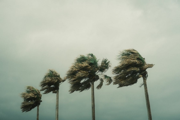 Protecting Your Castle: A Guide for Stormproofing Your New Home