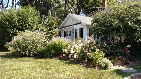 Turn Your Ugly Urban Backyard into Something Beautiful