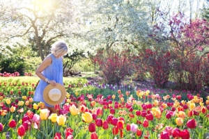 5 Ways You Can Improve Your Garden Landscaping