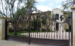 Electronic Gate