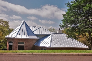 Exploring the Pros and Cons of Metal Roofing: Is It Right for You?