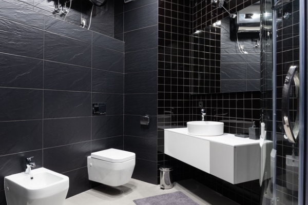 Are Bidets Cleaner Than Conventional Toilets?