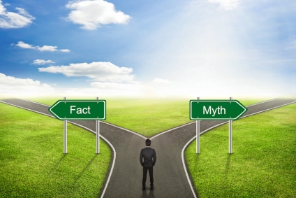 Please Don’t Let My Facts Get in the Way of Your Fiction!