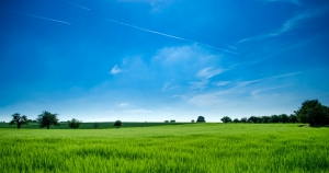 Rural Investing: Hidden Dangers of Investing in Agriculture and Farmland