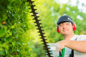 Expert Lawn Care Tips for a Beautiful Lawn in Sandy, UT