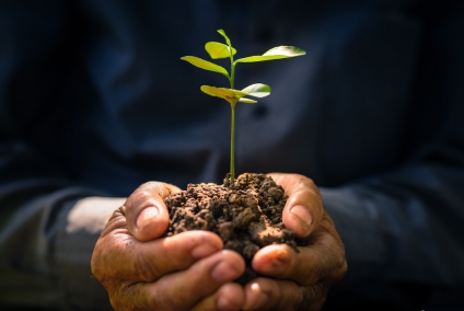 What does Life Expectancy have to do with Business Longevity? Everything.