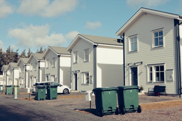 Neighborhood Pest Patterns: Why Location Matters More Than You Think