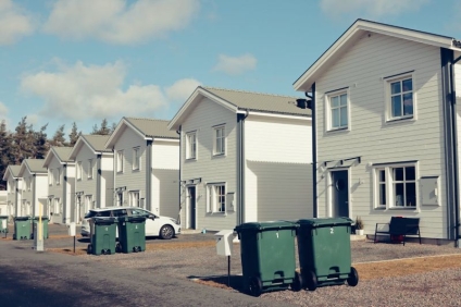 Neighborhood Pest Patterns: Why Location Matters More Than You Think